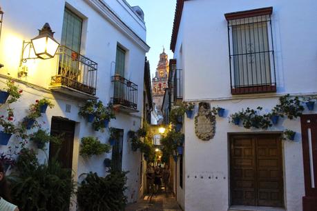 Una tarde-noche de verano