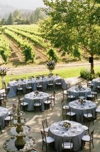 Días de vino y rosas. 618cf576e20276d21d7c0ed3510c46fc