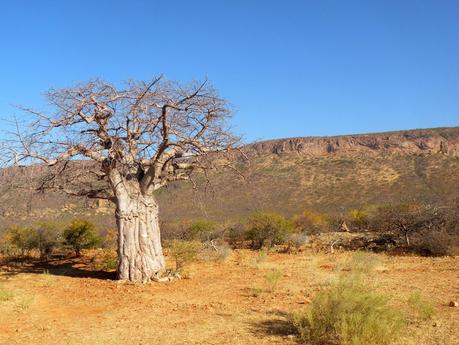 Costa de los Esqueletos en Namibia
