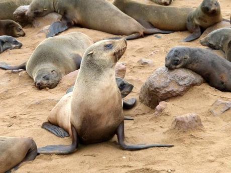 Costa de los Esqueletos en Namibia Costa de los Esqueletos en Namibia