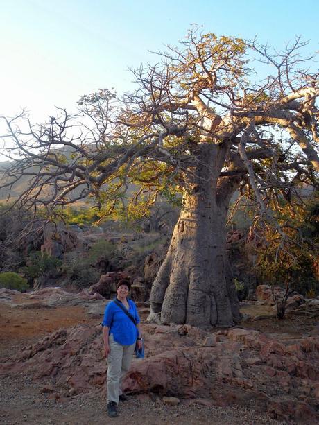 Costa de los Esqueletos en Namibia Costa de los Esqueletos en Namibia