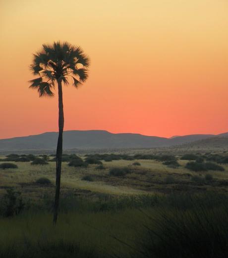 Costa de los Esqueletos en Namibia Costa de los Esqueletos en Namibia