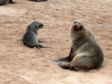 Costa de los Esqueletos en Namibia Costa de los Esqueletos en Namibia