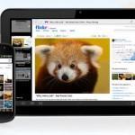 MTERM App de Lyoness, beneficios inmediatos para PYMES firefox 150x150 MTERM App de Lyoness, beneficios inmediatos para PYMES