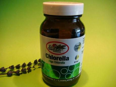 Alga Chlorella