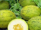 Melón