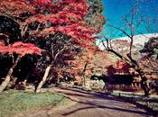 Koishikawa Korakuen (小石川後楽園)