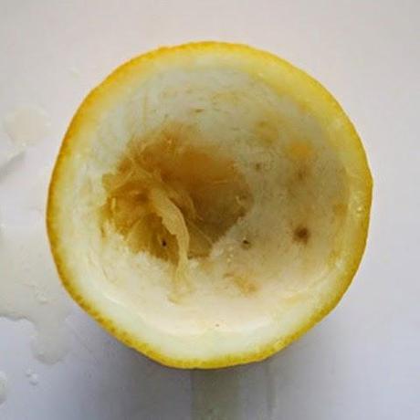 COMO HACER JELLO SHOTS DE TEKILA ,DOBKA O RON COMO HACER JELLO SHOTS DE TEKILA ,DOBKA O RON