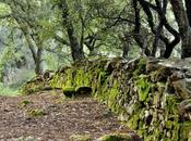 Camino Caín