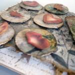 Regalo Cumpleaños: Luís 10.09.2014