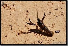 PlayaVillaverde (11)