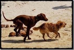 PlayaVillaverde (16)