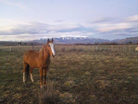 27. Despedidas Y Bienvenidas