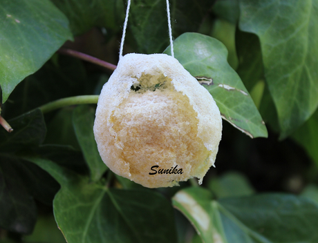 Productos terminados junio 2014