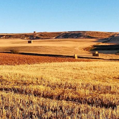 El Camino de Santiago entre Tardajos y Sahagún