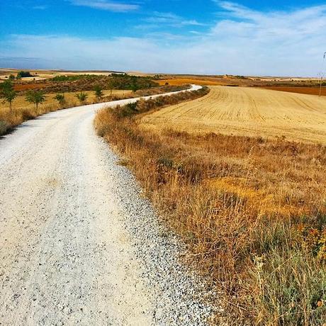 El Camino de Santiago entre Tardajos y Sahagún