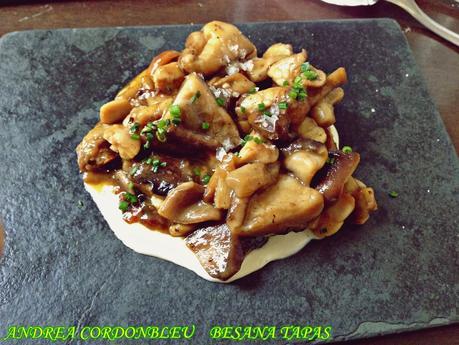 SALIENDO POR BESANA Y LA FABRICA (UTRERA Y SEVILLA)