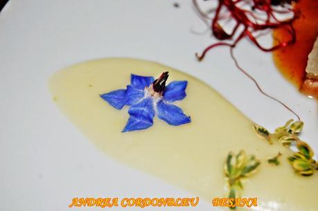 SALIENDO POR BESANA Y LA FABRICA (UTRERA Y SEVILLA)