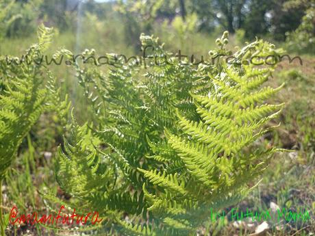 Día especial 24/05/2014