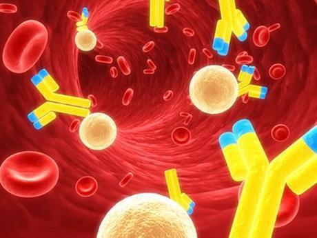 gesundes blut MIELOMA MÚLTIPLE Y FISIOTERAPIA