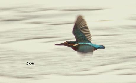 EL EMPLUMADO MISIL COBALTO