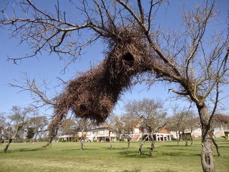 En aguas bien calientes