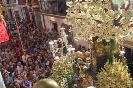 Galería fotográfica de la procesión de la Divina Pastora de Cantillana (III)