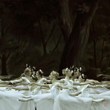 De fotos y fotógrafo