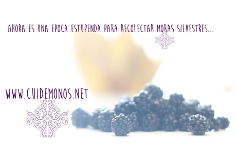 Mermelada de moras