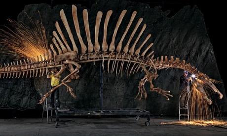Reconstrucción de Spinosaurus
