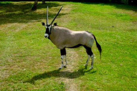 Temaikén, Tierra de Vida