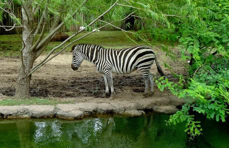 Temaikén, Tierra de Vida