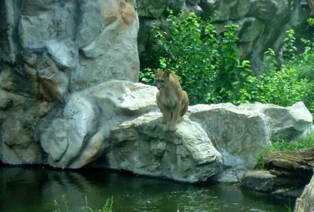 Temaikén, Tierra de Vida