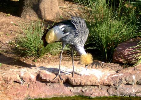 Temaikén, Tierra de Vida