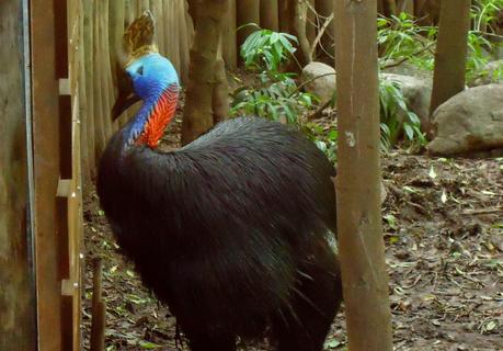 Temaikén, Tierra de Vida