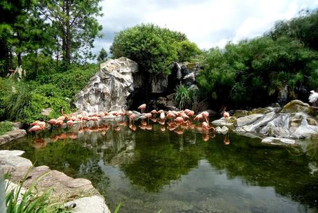 Temaikén, Tierra de Vida