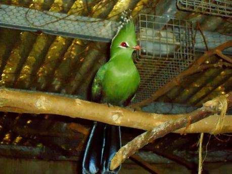 Temaikén, Tierra de Vida