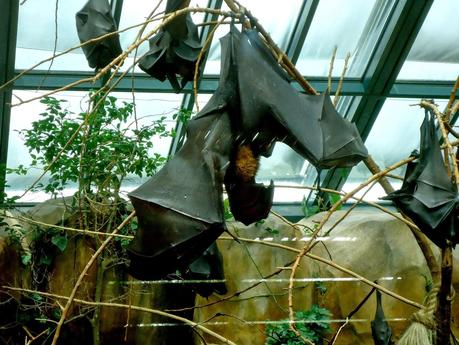 Temaikén, Tierra de Vida