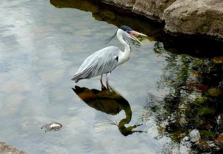 Temaikén, Tierra de Vida