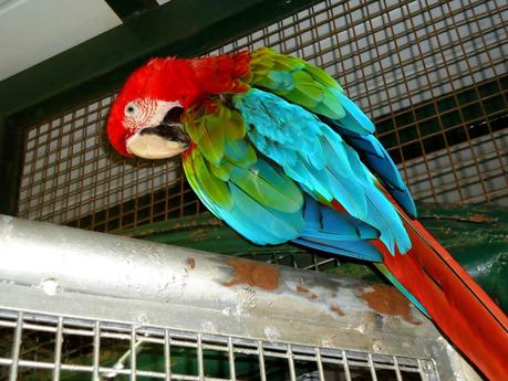 Temaikén, Tierra de Vida