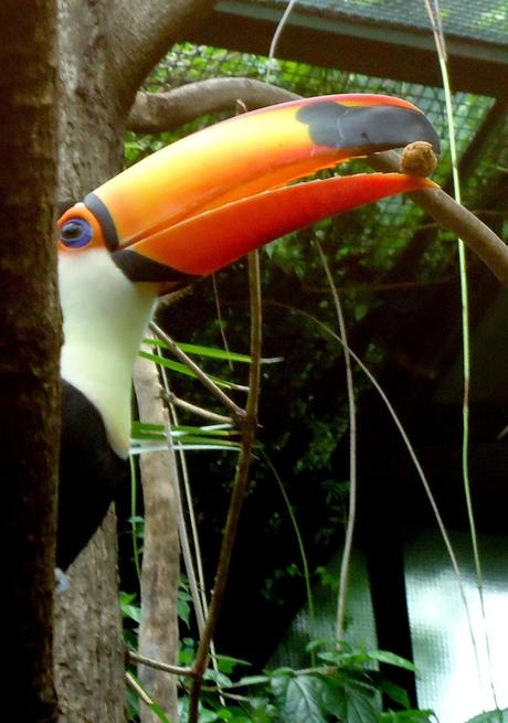 Temaikén, Tierra de Vida