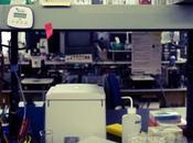 Nobel Medicina para Robert Edwards, padre reproducción asistida