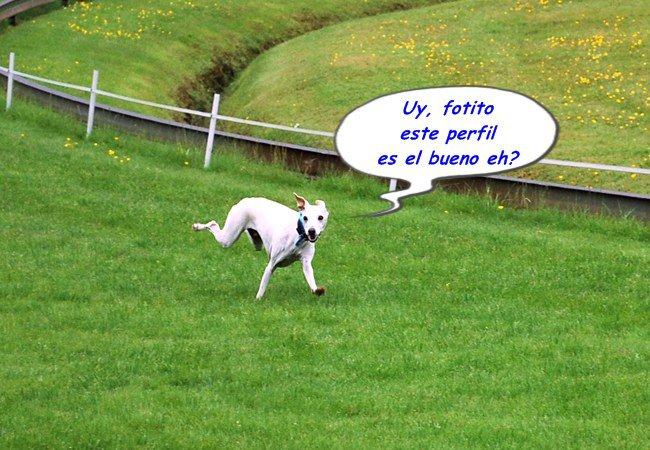 24 horas felices, prorrogables a 48