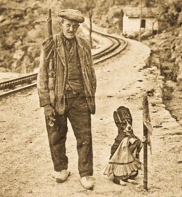 El perro de la caseta