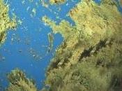 Cómo encontrar 'exo-Tierras'