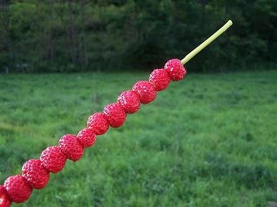 Fresas o fresones (no son lo mismo)