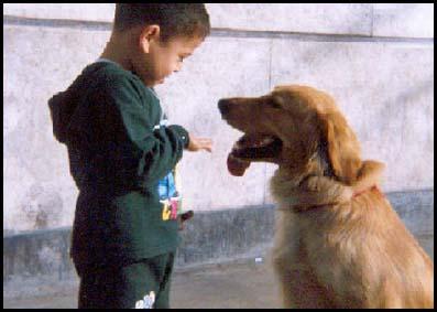 profesor diseño grafico, profesor diseño web, curso illustrator, curso photoshop, curso dreamweaver, diseno grafico, diseño web