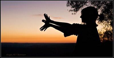 Turismo Ornitológico en Extremadura