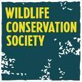 Becas Investigación Wildlife Conservation Society 2011