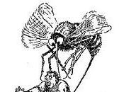 ¿Por pican tanto mosquitos?